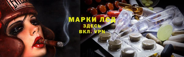 твердый Краснослободск