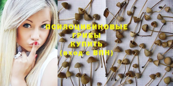 скорость Зерноград